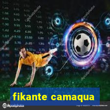 fikante camaqua